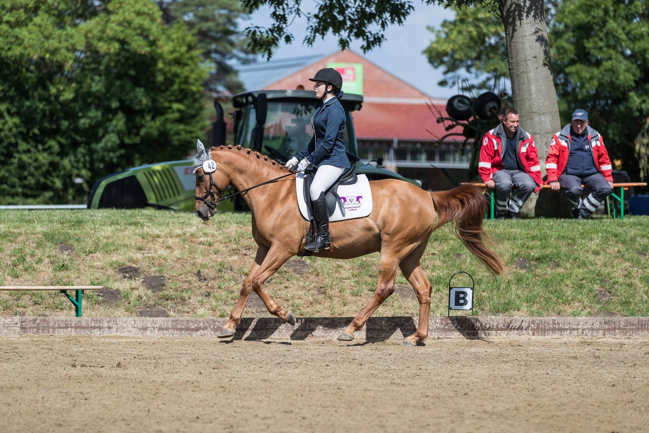 Bild 700 - Pony Akademie Turnier